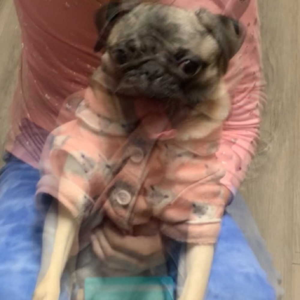 Meet your Posher, Naomi